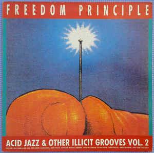 Freedom Principle - Vinile LP
