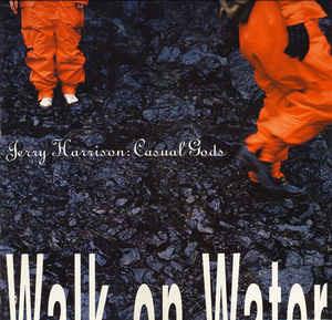 Walk On Water - Vinile LP di Jerry Harrison