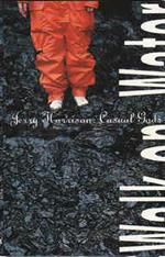 Walk on water (Musicassetta)