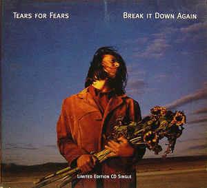 Break It Down Again - CD Audio di Tears for Fears