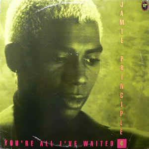 You're All I've Waited 4 - Vinile LP di Jamie Principle