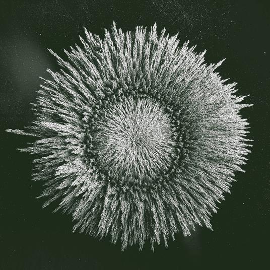 Louis Etienne Santais - Construction - CD Audio