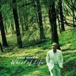 Wheel of Life - CD Audio di Sadao Watanabe