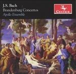 Brandenburg Concertos - CD Audio di Johann Sebastian Bach