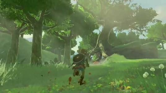 Nintendo The Legend of Zelda: Breath of the Wild - 10