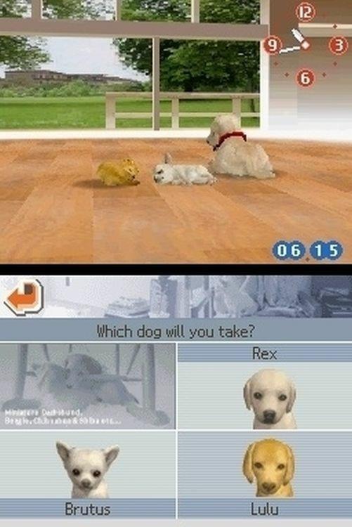 Nintendogs Labrador - 2