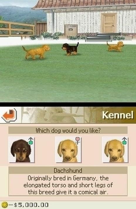 Nintendogs Labrador - 7