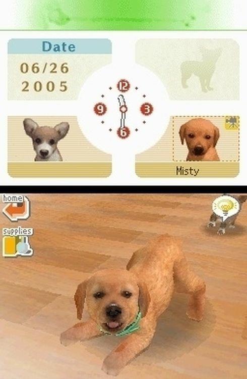 Nintendogs Labrador - 8