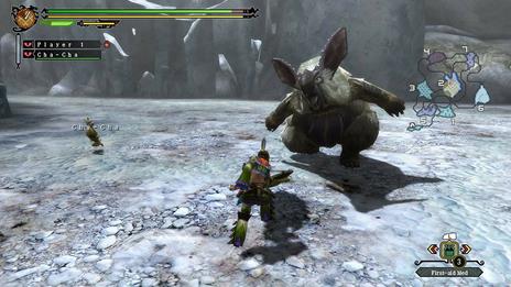 Monster Hunter 3 Ultimate - 3