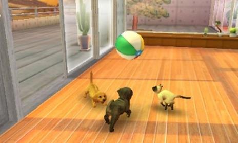 Nintendo Nintendogs + Cats: French Bulldog, 3DS videogioco Nintendo 3DS Basic Francese - 7