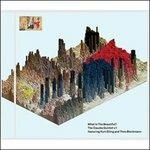 What Is the Beautiful? - CD Audio di Claudia Quintet