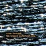 Turning Towards the Light - CD Audio di Go Organic Orchestra