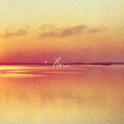 Norm(Lp) By Shauf,Andy - Vinile LP di Andy Shauf