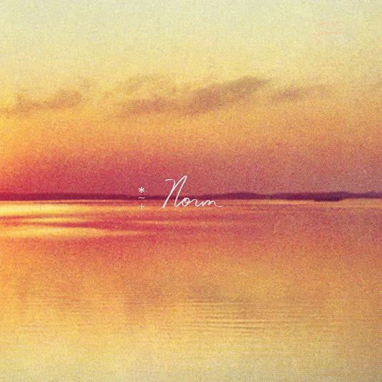 Norm(Lp) By Shauf,Andy - Vinile LP di Andy Shauf