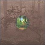 The Winding Path - CD Audio di Kevin Kern