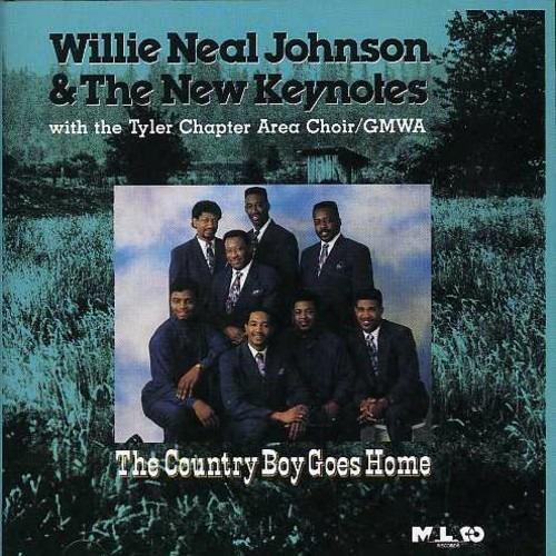 Country Boy Goes Home - CD Audio di Willie Johnson
