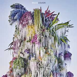 Vinile Cousin Wilco