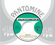 Realize - Determination Skank