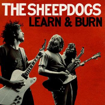 Learn & Burn - CD Audio di Sheepdogs
