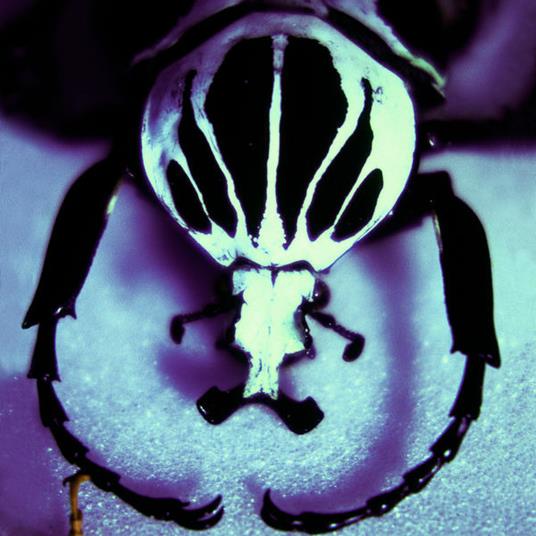 Make A Pest A Pet - Vinile LP di Age of Electric