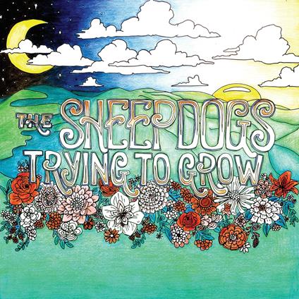 Trying To Grow - CD Audio di Sheepdogs