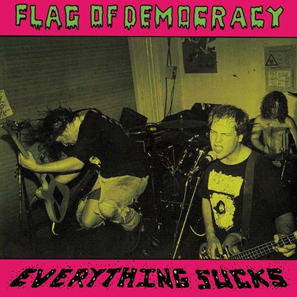 Everything Sucks (Limited Edition) - Vinile LP di Flag of Democracy