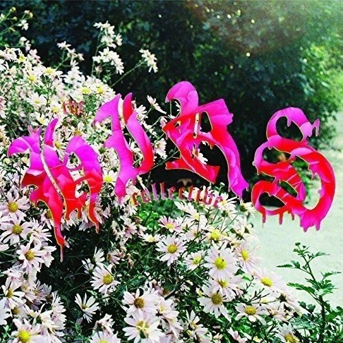 ibs