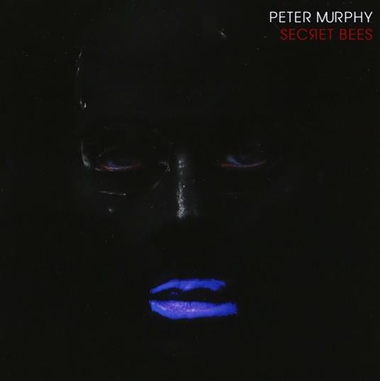 Secret Bees of Ninth - CD Audio di Peter Murphy