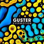 Evermotion - Vinile LP di Guster