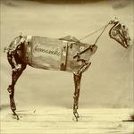 The Horse Comanche (180 gr. Gatefold Sleeve) - Vinile LP di Chadwick Stokes
