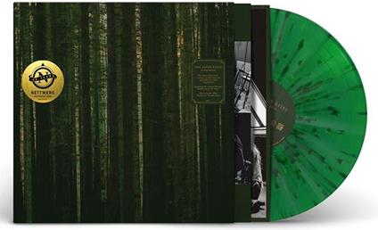 Evergreen - Vinile LP di Paper Kites