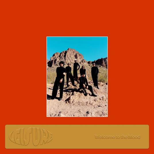 Welcome To The Mood - Vinile LP di Leisure