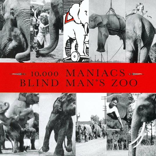 Blind Man's Zoo - CD Audio di 10.000 Maniacs