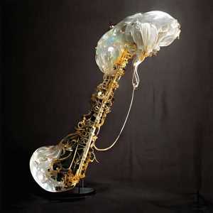 CD Cookup Sam Gendel