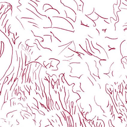 Voices Of Bishara - Vinile LP di Tom Skinner