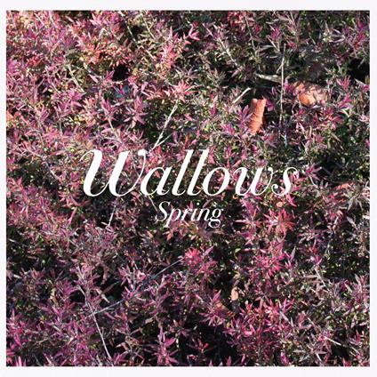 Spring - CD Audio di Wallows