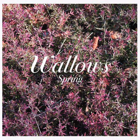 Spring - CD Audio di Wallows