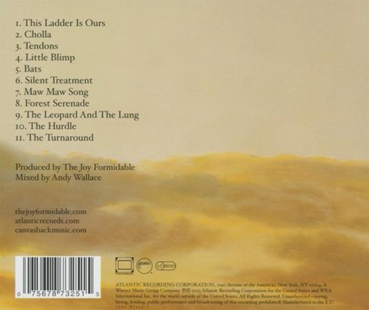 Wolf's Law - CD Audio di Joy Formidable - 2