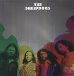 Sheepdogs