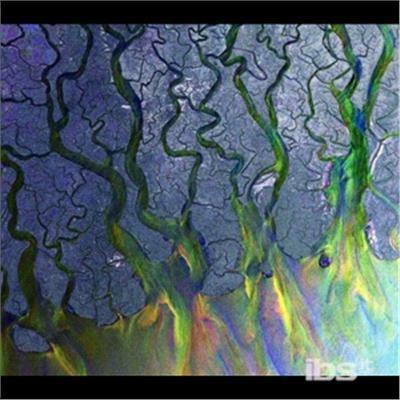 Awesome Wave - CD Audio di Alt-J