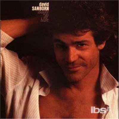Straight To The Heart - CD Audio di David Sanborn