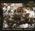 Amazing - CD Audio di David Liebman