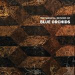 Magical Record of Blue Orchids