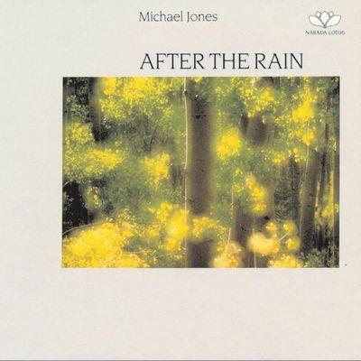 After the Rain - CD Audio di Michael Jones