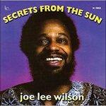 Secrets from the Sun - CD Audio di Joe Lee Wilson