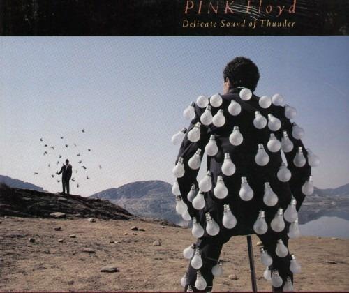 Delicate Sound of Thunder - Vinile LP di Pink Floyd