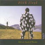 Delicate Sound of Thunder - CD Audio di Pink Floyd