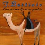 Come un cammello in una grondaia - CD Audio di Franco Battiato