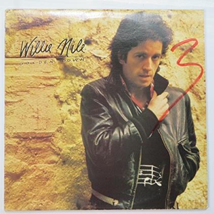 Golden Down - Vinile LP di Willie Nile