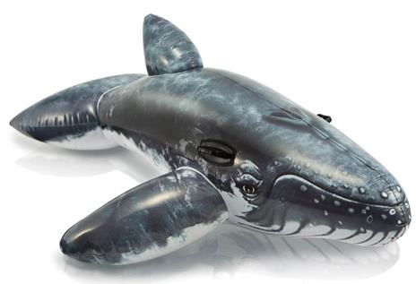Cavalcabile Balena